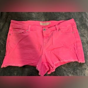 Hot Pink Torrid Shorts